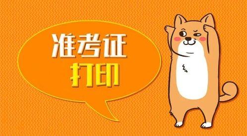 成人高考成功视频,揭秘高效备考与策略